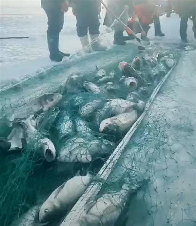 大拉网 有囊大拉网 冰下大拉网 地拉网