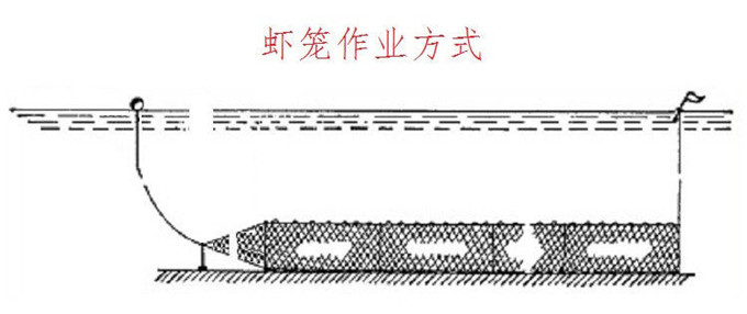 龙虾笼 龙虾网 地笼