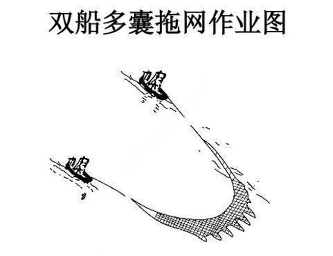 疏目拖网 水库拖网 有翼多囊 拖网