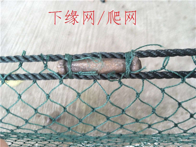 小拉网 无囊小拉网 地拉网