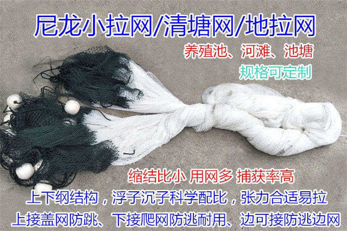 小拉网 无囊小拉网 地拉网
