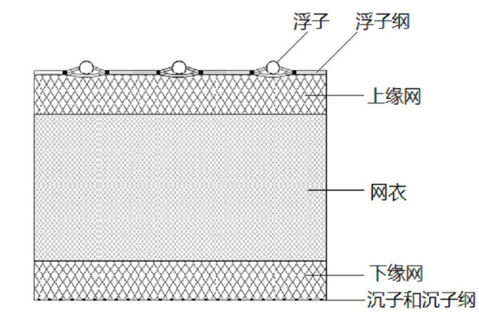 小拉网 无囊小拉网 地拉网