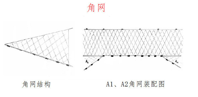 小拉网 无囊小拉网 地拉网