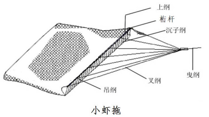 虾拖网 虾拖 拖网