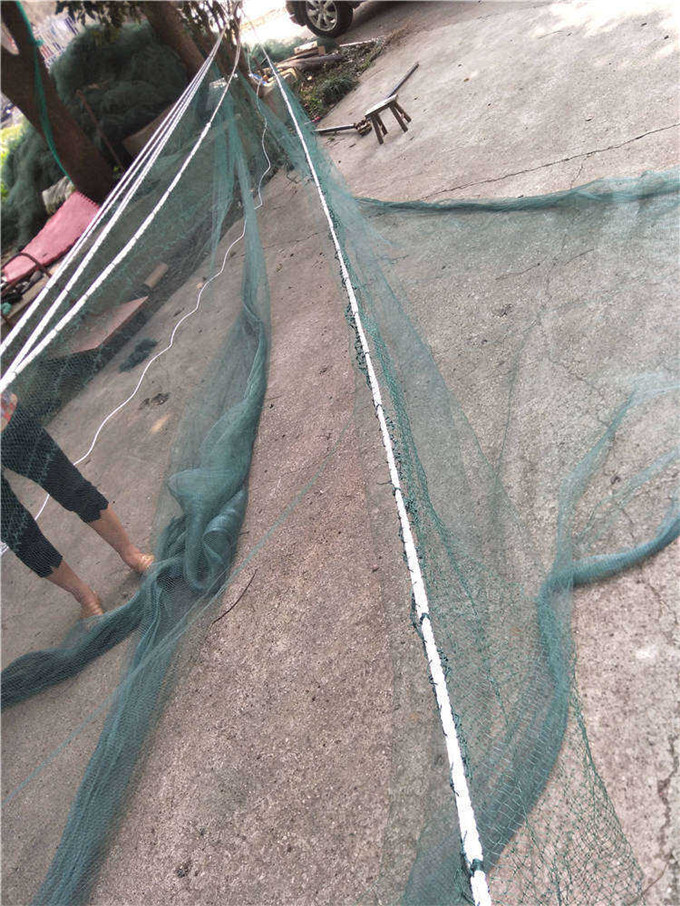 银鱼拖网 搬网 无翼单囊 拖网