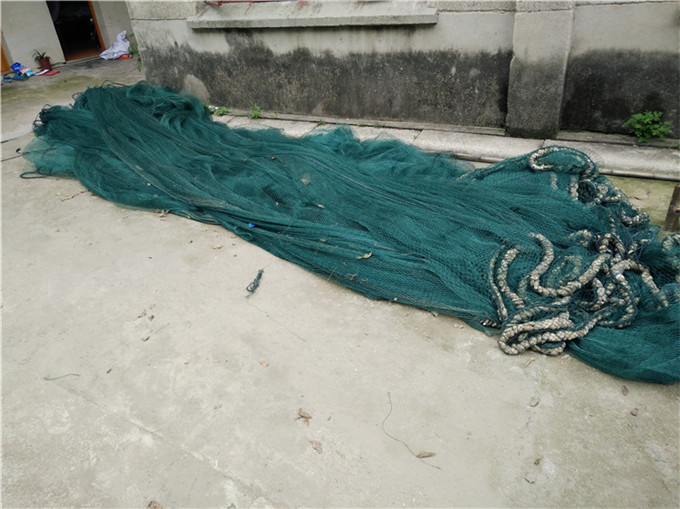网墙 迷魂阵