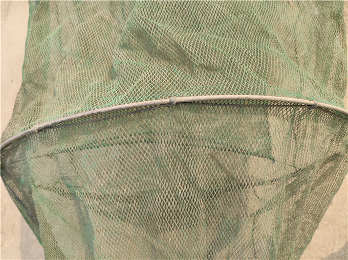 网墙 迷魂阵