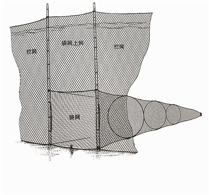 网囊 迷魂阵
