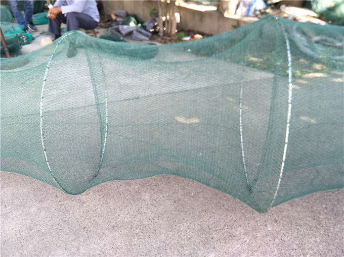 网囊 迷魂阵