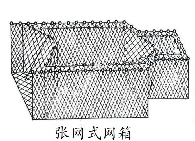 网囊 迷魂阵