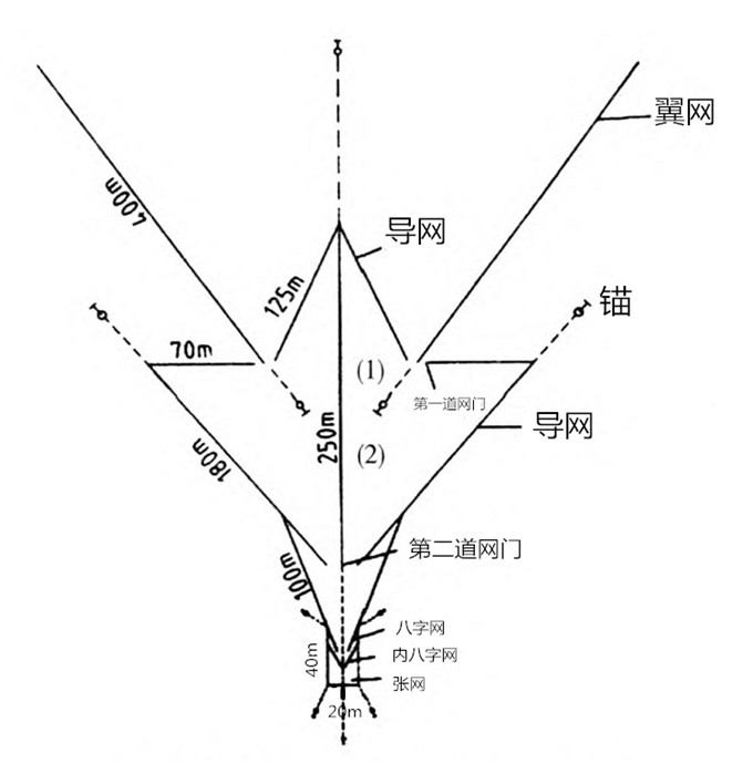 网箔 迷魂阵