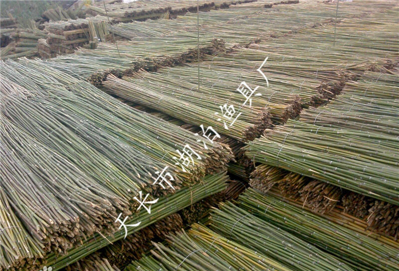 竹竿