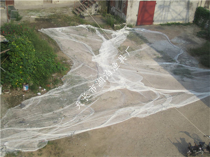 箱式 抬网